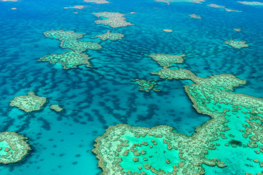 Aerial view of the Great Barrier Reef