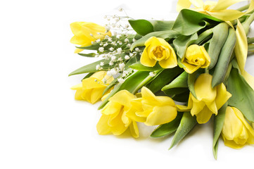 Yellow tulips with yellow ribbon on beige