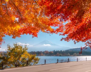 Fotobehang Romantic autumn road © Jirawatfoto