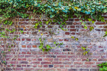 Wall