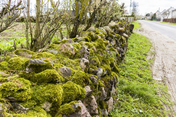 Stone walls are the fence of an old abandoned farm. . The stones are covered with green moss. Region Podlasie, Poland.