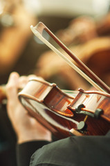 Member of classical music orchestra playing violin on a concert © Bits and Splits