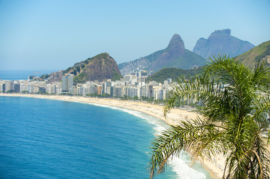 Sweeping view of Copacabana Beach from behind a palm tree on a bright cloudless day