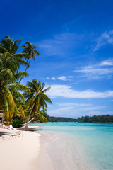 Paradise tropical beach and lagoon in Moorea Island - obrazy, fototapety, plakaty