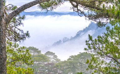 Obraz premium Misty Morning on the Plateau of Da Lat, Vietnam. It has a mild climate suitable for weekend stays for visitors