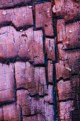 Closeup burnt firebrand