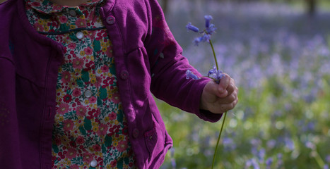 The little girl and the bleu flower