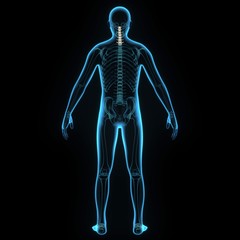 3d illustration human body cervical spine
