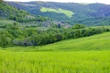 Obraz premium Landscape around Montalcino Tuscany