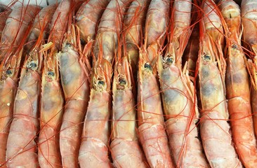 Seafood. Frozen langoustines lie in layers in a row in a cardboard container. Closeup