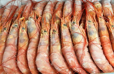 Frozen langoustines lie in row in cardboard box. Closeup