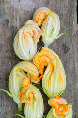 close up flower of a pumpkin