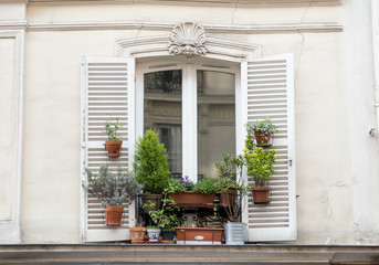 Fototapeta na wymiar Window frame of house with beautiful flowers