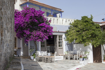 Alonissos, Sporades islands, Greece