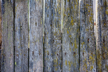 background, old the wooden fence, beautiful old boards covered with cracks