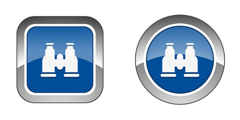 Chrome  Web  Button - Blue