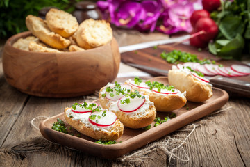 Toasts with radish, chives and cottage cheese.