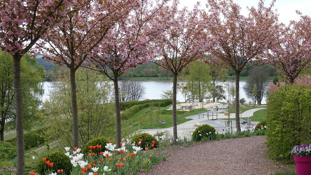 Stausee Losheim