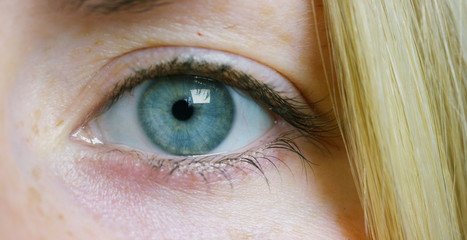 A young beautiful girl with big green-gray eyes, blonde straight hair and with freckles, a very close macro.