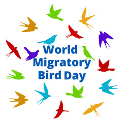 World Migratory bird day