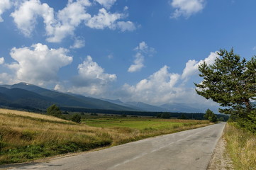 Fototapeta premium Majestic mountain top overgrown with coniferous forest, valley, glade and road, Rila mountain, Bulgaria
