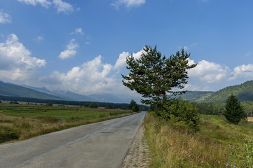 Majestic mountain top overgrown with coniferous forest, valley, glade and road, Rila mountain, Bulgaria