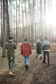 Back view photo of group of friends walking outdoors