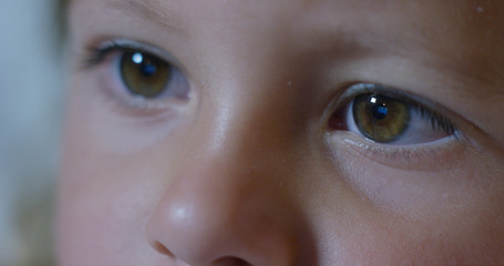 Naklejka premium eyes macro of child while using a tablet, smartphone.the future of web technology and video technology concept. connections and vision of the future of children with the web. Internet protection.