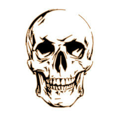 Graphic vector skull isolated on white background. T-shirt design.