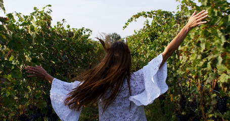young lady runs in wineyard red grape in the vineyard before the harvest. concept of organic nature...
