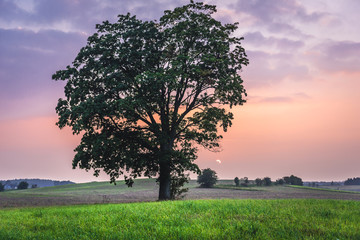 Landscape near Szymbark town, Cassubia region of Poland