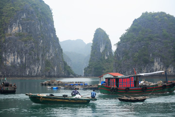 Halong Bay In Vietnam