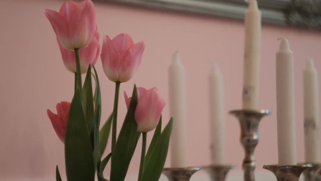 Pink tulips and white candles on table in living room. Beautiful flowers of cream shade stand in spacious premise with soft lighting. These blossoms are one of most popular and favorite plant in the