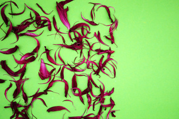 Repeatable petals in red on a green background