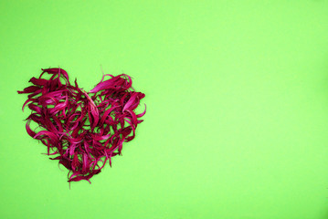 Heart of dried blue flowers on bright green background
