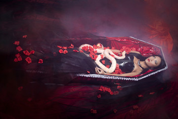 beauty halloween witch lying in the coffin with white snake