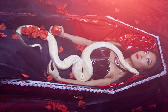 beauty halloween witch lying in the coffin with white snake