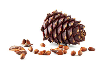 Siberian pine 