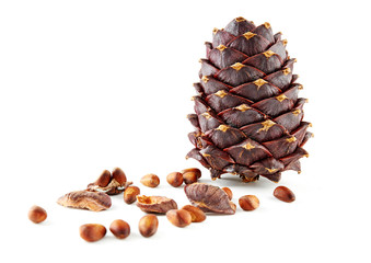 Siberian pine 