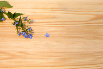Obraz na płótnie Canvas Blue flowers on a wooden background