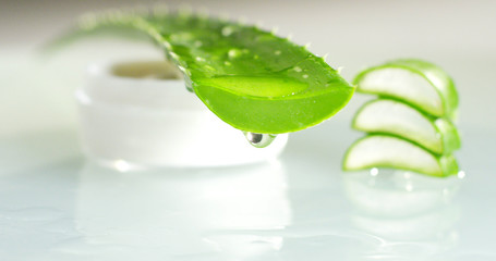 Composition of aloe vera. Concept of beauty cream derived from Aloe, natural medicine and care for the body rejuvenation based on hyaluronic acid. Skin to sunburn and aloe vera. concept of refreshing 