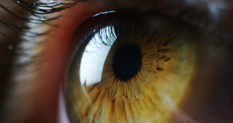 macro parfaite des yeux verts dans un environnement stérile et vision parfaite en résolution