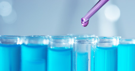 In a laboratory, a scientist with a pipette analyzes a colored liquid to extract the DNA and molecules in the test tubes. Concept: research, biochemistry, nature, pharmaceutical medicine	