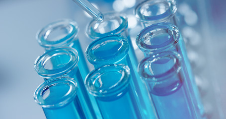 In a laboratory, a scientist with a pipette analyzes a colored liquid to extract the DNA and molecules in the test tubes. Concept: research, biochemistry, nature, pharmaceutical medicine	