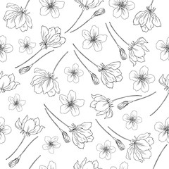 Apple flower blossom hand drawn isolated on white background, seamless vector floral pattern, sakura outline art for greeting card, package design cosmetic, invitations, wallpaper, decorative texture