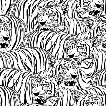 Tiger seamless pattern. Wild life animals. Black and white texture. Illustration