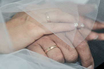 The bride and groom's hands with rings.