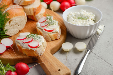 Toasts with cottage cheese cream and colorful radish.