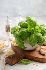 Ingredients for making green pesto sauce. Healthy Italian food. Selective focus, copy space.