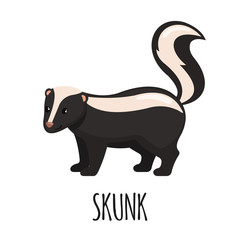 Cute Skunk in flat style.